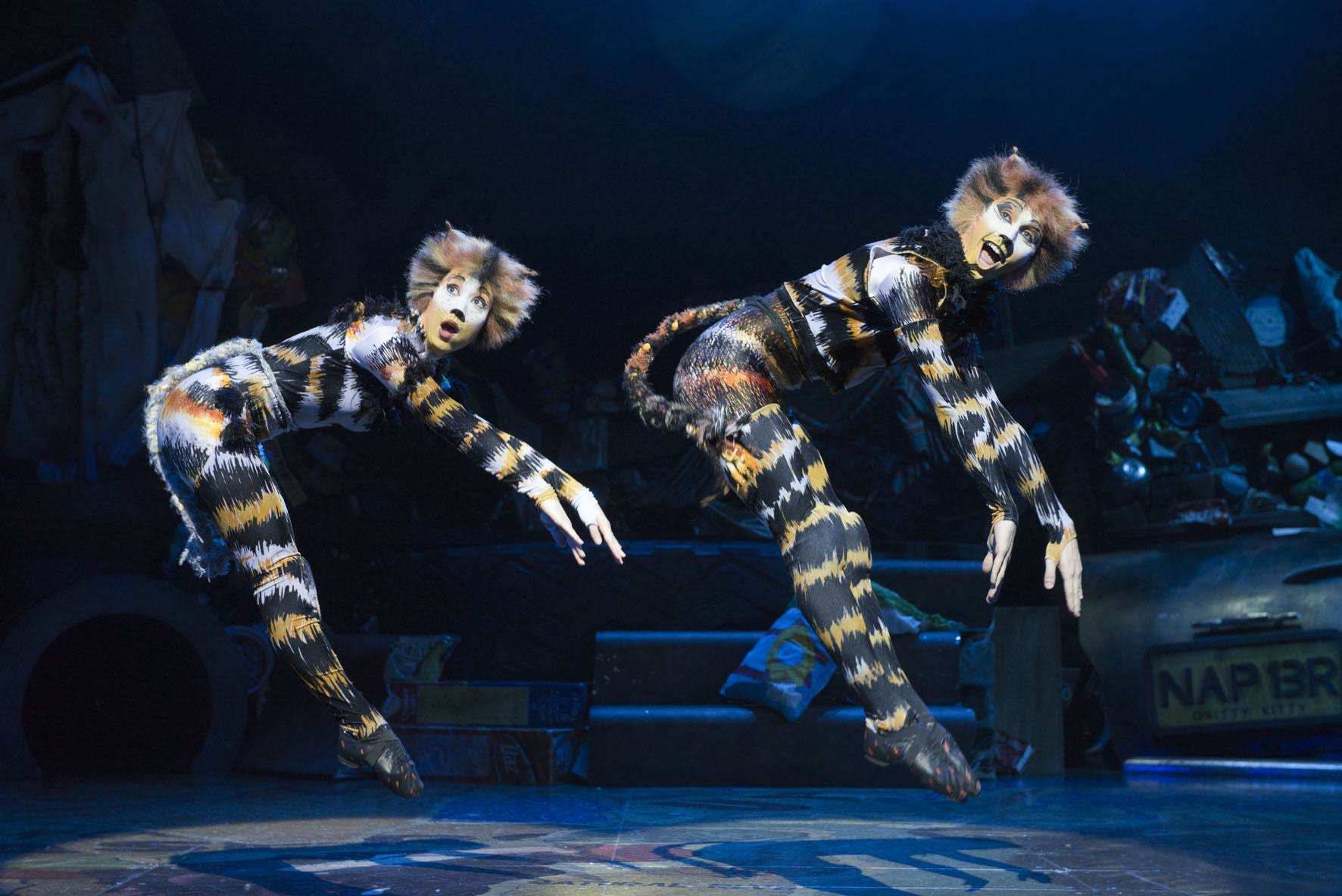 cats musical tour italia 2023