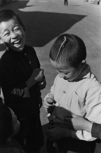 Domon Ken Lucertola, Kōtō, Tokyo, 1955 - 457×560 - Ken Domon Museum of Photography
