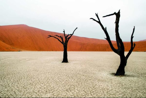 Namibia