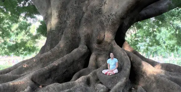 meditazione