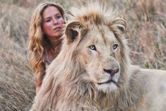 Il Lupo E Il Leone Uscita Cinema