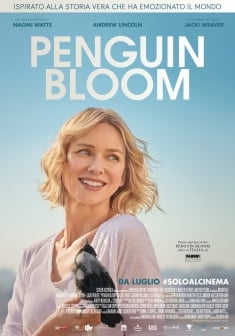 penguin bloom recensione