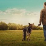 After LIfe recensione prima stagione