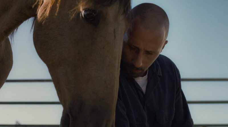 The Mustang film trama