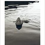 cose che non si raccontano